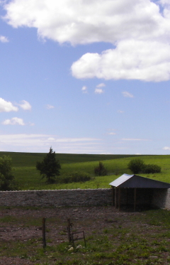 flint hills shed